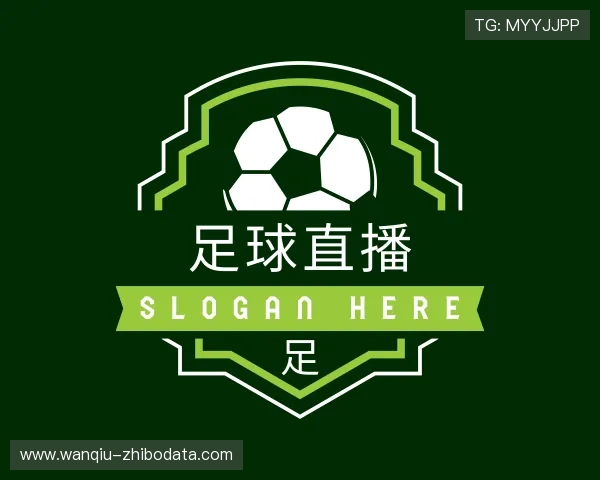 介绍玩球帝